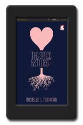 Cover of the lesbian young adult novel The Space Between by Michelle Teichman