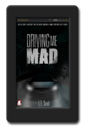 Cover of the lesbian paranormal romance Driving me Mad by LT Smith
