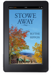 Cover to Ylva Publishing's Stowe Away by Blythe Rippon