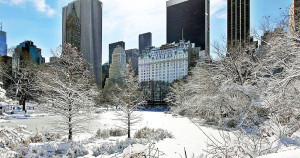 New York in Winter