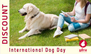 Internatioanl Dog Day at Ylva Publishing