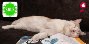 lesbian fiction and felines